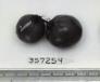 Click for 1 image(s) for this accession. FRUIT